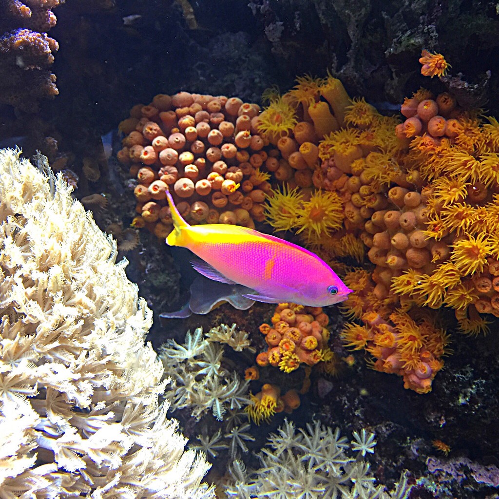 epic andaman tours resize