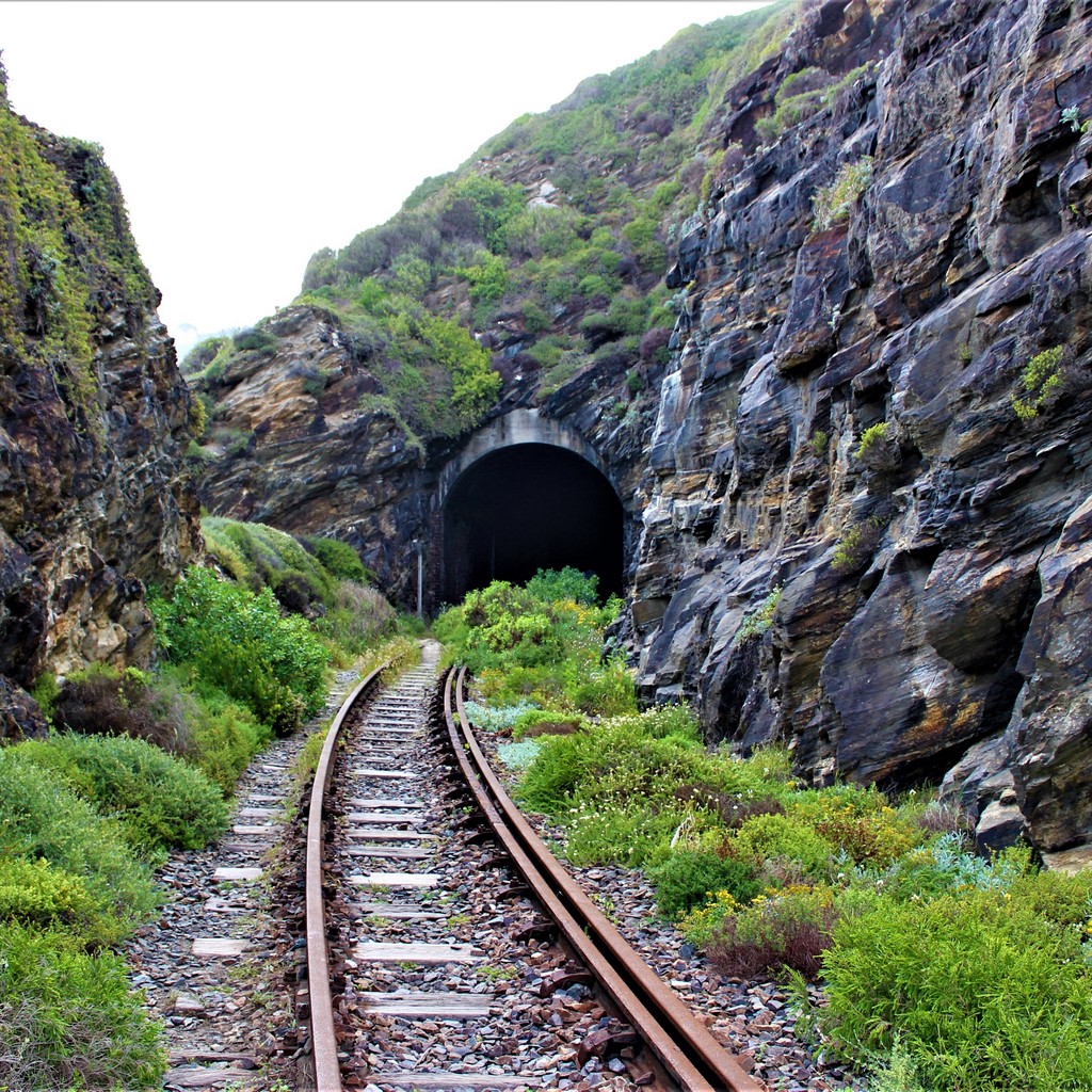 A scenic view of a railway to tunnel through the green-covered rocks