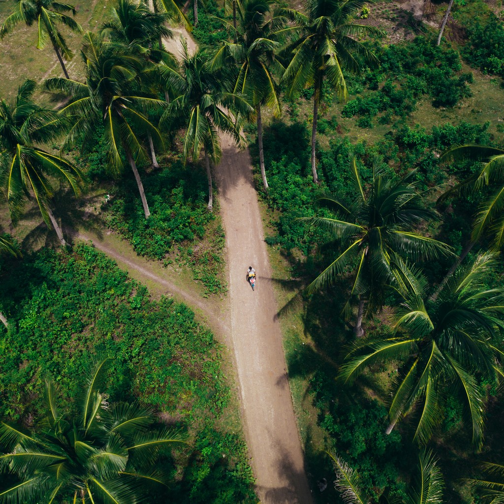 An aerial shot of a long road  surrounded by greens and trees